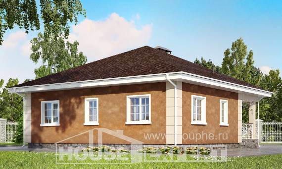 100-001-Л Проект одноэтажного дома, красивый загородный дом из арболита, Советск